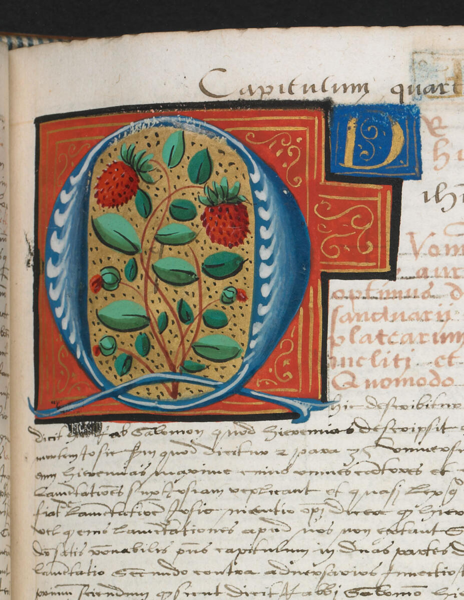 Recueil de Sermons, Henri de Mauroy, Ms 1431, Tome 1, folio 54r°, Médiathèque Jacques-Chirac