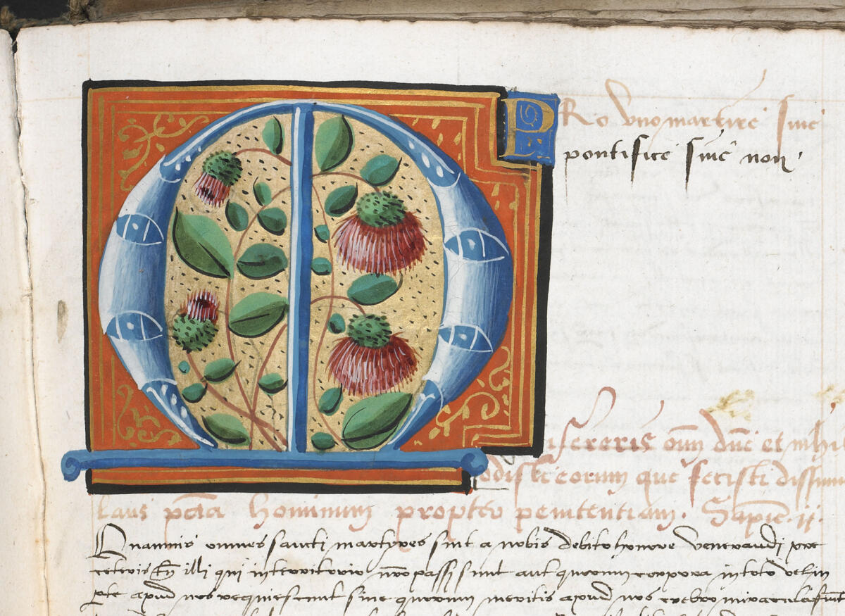 Recueil de Sermons, Henri de Mauroy, Ms 1431, Tome 3, folio 244r°, Médiathèque Jacques-Chirac