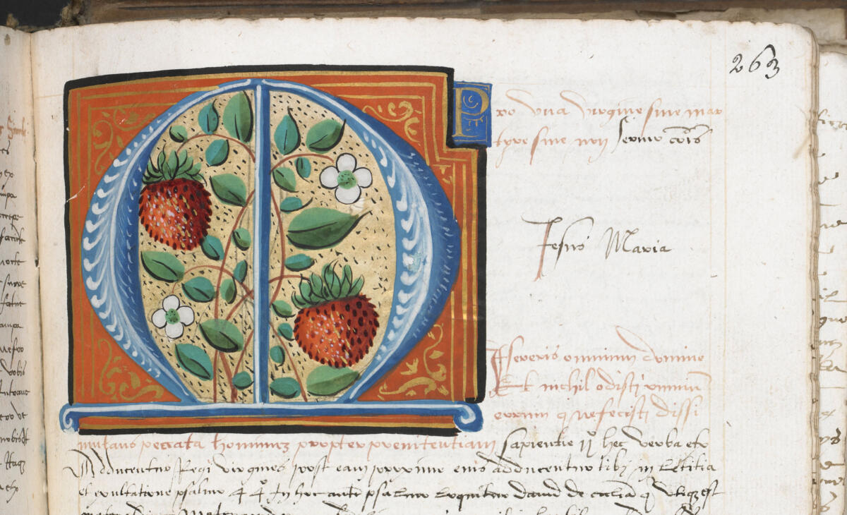 Recueil de Sermons, Henri de Mauroy, Ms 1431, Tome 3, folio 263r°, Médiathèque Jacques-Chirac